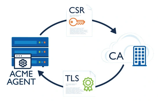 Illustration du protocole ACME pour la gestion des certificats